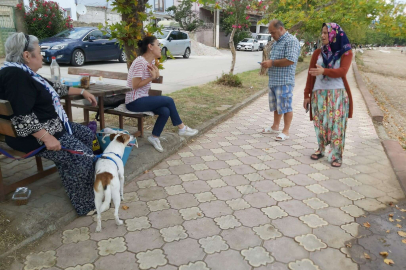 Bursa'da köpek saldırısı! Genç kız hayatının şokunu yaşadı