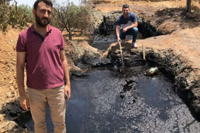 Tarlasında bulundu, başına talih kuşu kondu! '50 milyon dolar teklif edildi...'