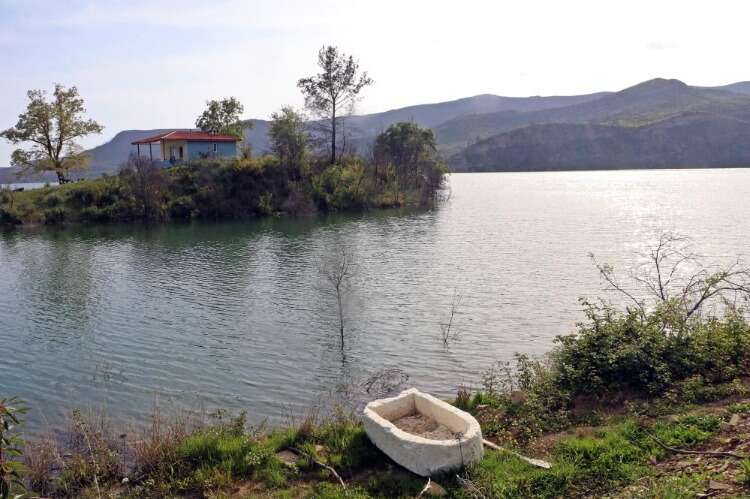 Cumhuriyet tarihinin en büyük yangından sonra griye bürünen doğa kendini yeniledi