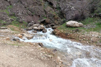 Yıllardır kuru olan su kaynağından depremden sonra su çıktı