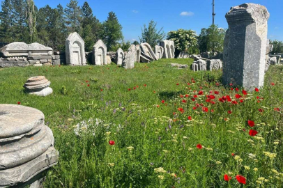 Aizanoi Antik Kenti, yaz mevsiminde büyülüyor