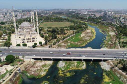 Seyhan Nehri, bataklığa döndü! Görenleri tedirgin ediyor...