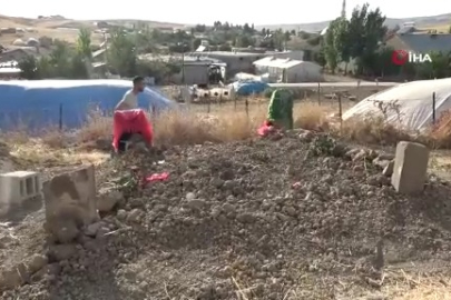 Çok acı haber! Evlenmelerine değil yan yana gömülmelerine izin verildi...