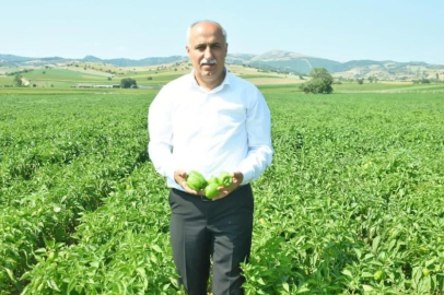 Bursa'daki bu pazarda fiyatı çiftçi belirleyecek