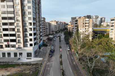 Bursa’da manolya ağaçları caddeleri süsledi