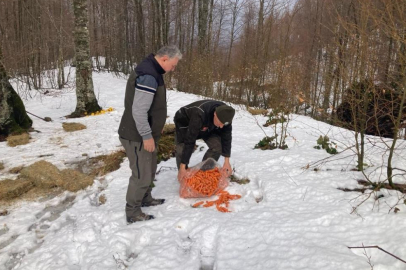 Bursa'da yaban hayvanlarına yem desteği