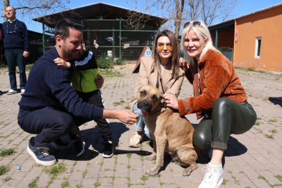 Gökhan Dinçer: 'Can dostlarımız da sahipsiz kalmayacak'