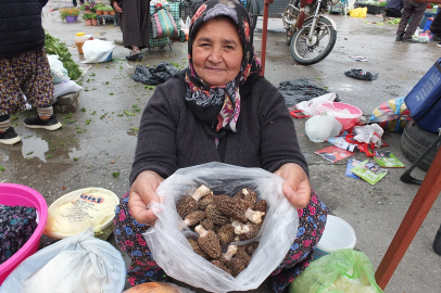 Alıcılar sıraya girdi! Bulan zengin oluyor... Fiyatı altın ile yarışıyor!