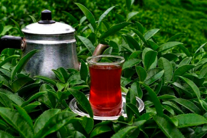 Kriz onları da vurdu! Ünlü çay markası iflasın eşiğine geldi...