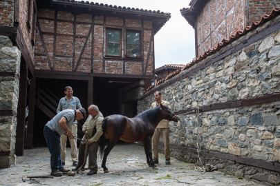 Erasmuslu öğrenciler Bursa Hayvanat Bahçesi’nde